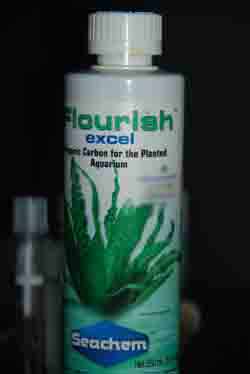 plant fertilizers