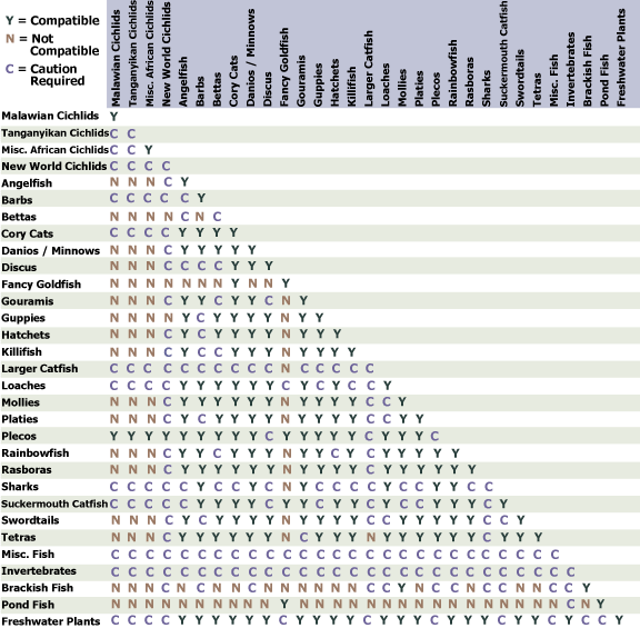 Tropical Fish Compatibility Chart