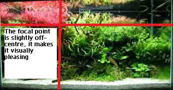 A guide to aquascaping the planted aquarium